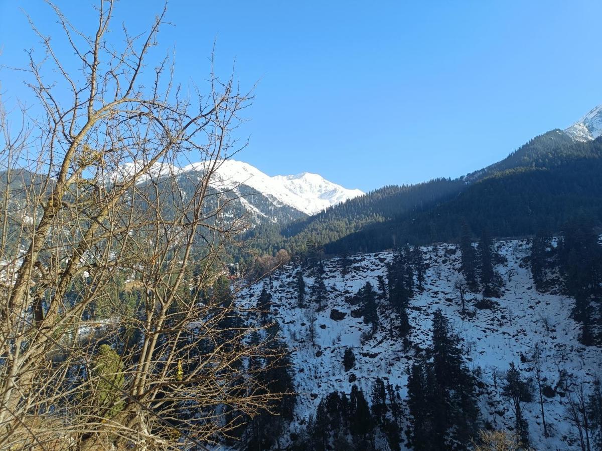 Snow Oak Guest House Kasol Luaran gambar