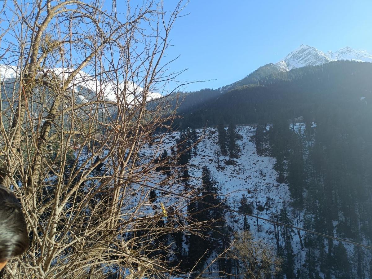 Snow Oak Guest House Kasol Luaran gambar